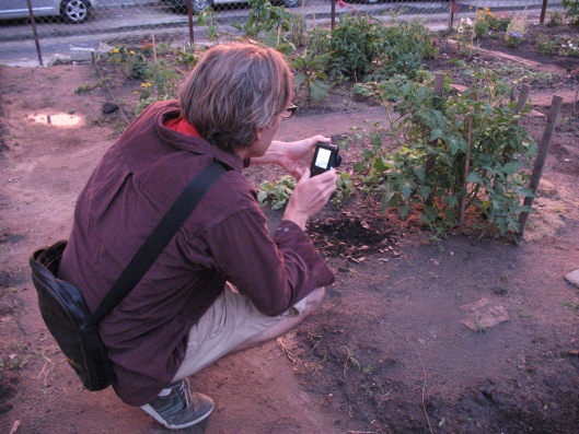 orgódek Leonardo w Budapeszcie orgódek Leonardo w Budapeszcie