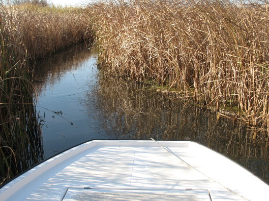 jezioro Cisa jezioro Cisa