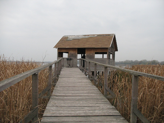 jezioro Cisa jezioro Cisa